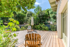 Ferret-Michael-zingraf-6-08-42